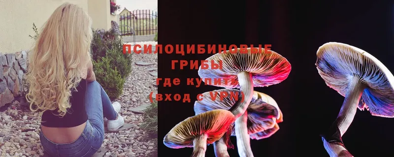 кракен зеркало  Уссурийск  Галлюциногенные грибы Magic Shrooms 